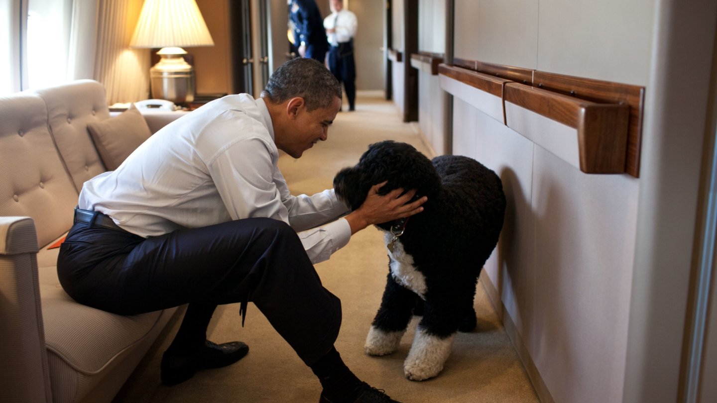 Barak Obama et son chien Bo