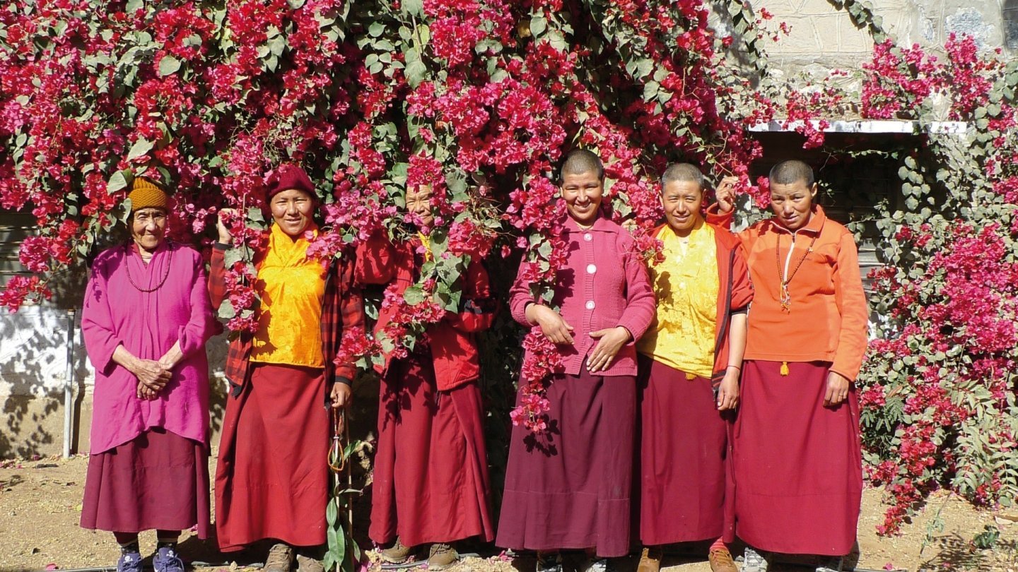 Zanskar - nonnes dans les fleurs