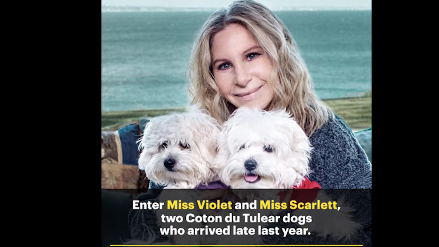Barbra Streisand et ses chiens clonés