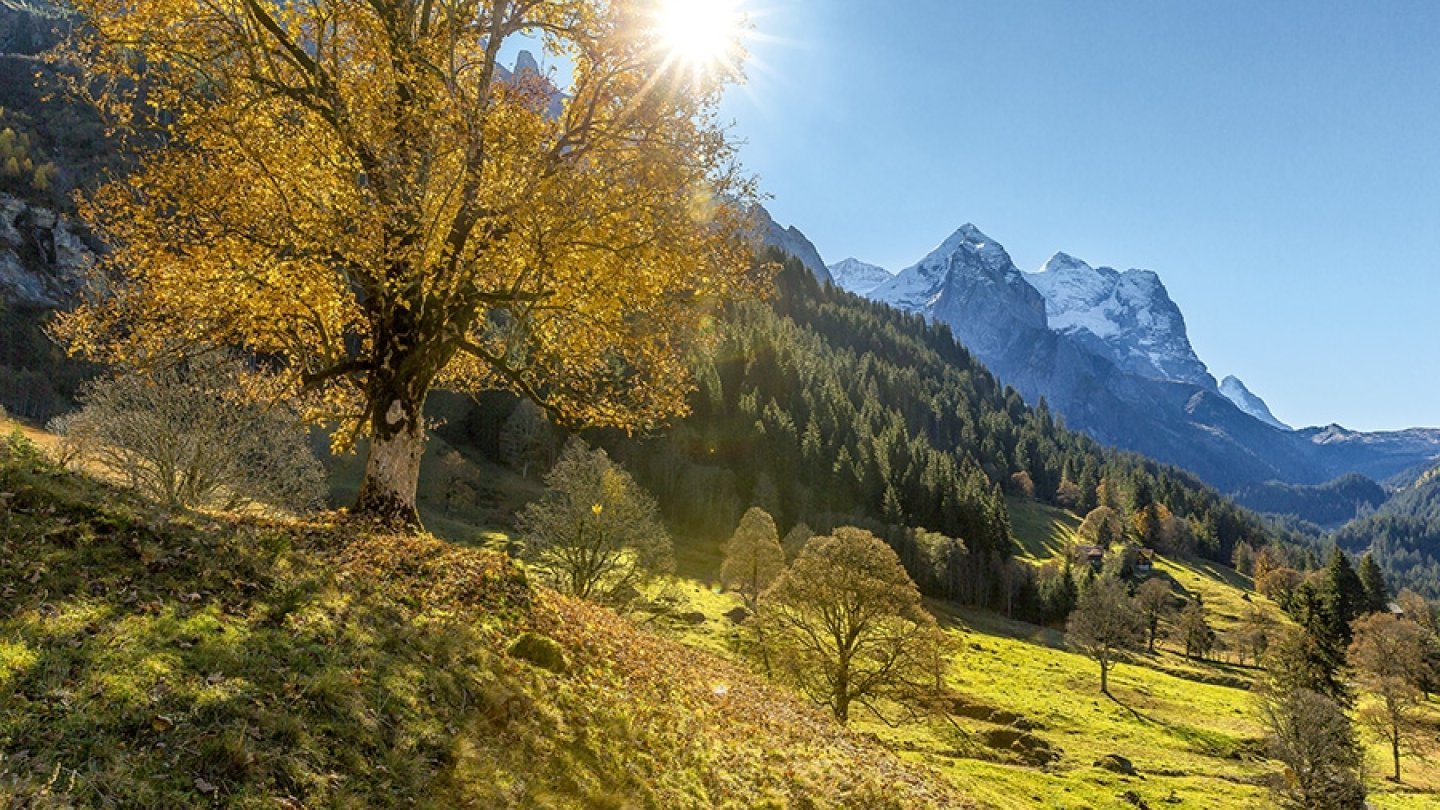 paysages et traditions suisses