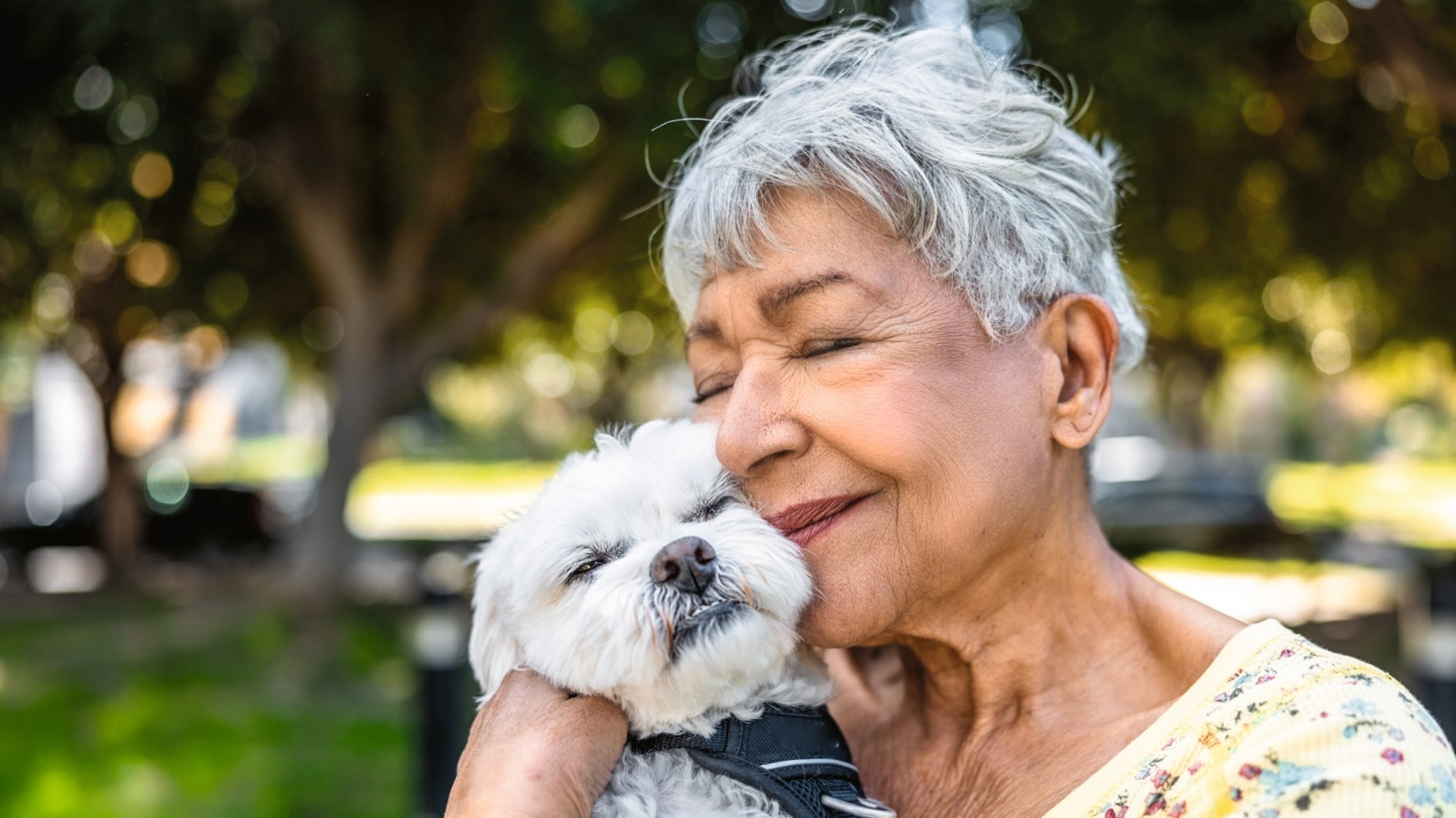 animaux de compagnie  quel chien choisir bien-être loisirs