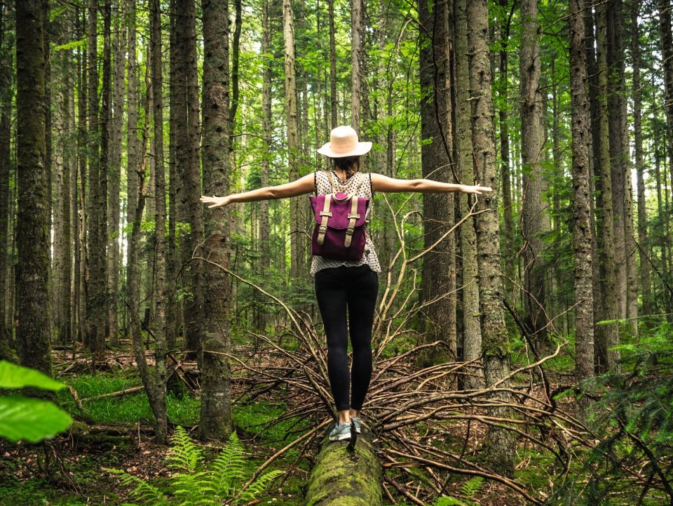 les bienfaits de la nature sur notre santé et bien-être plantes arbres et forêts nous font du bien par tous les sens