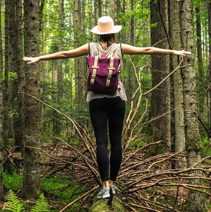 les bienfaits de la nature sur notre santé et bien-être plantes arbres et forêts nous font du bien par tous les sens