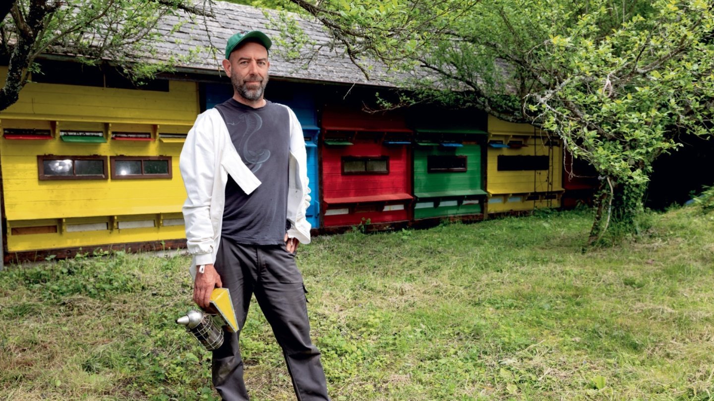 apiculture abeilles nature environnement animaux carrière reconversion Suisse romande
