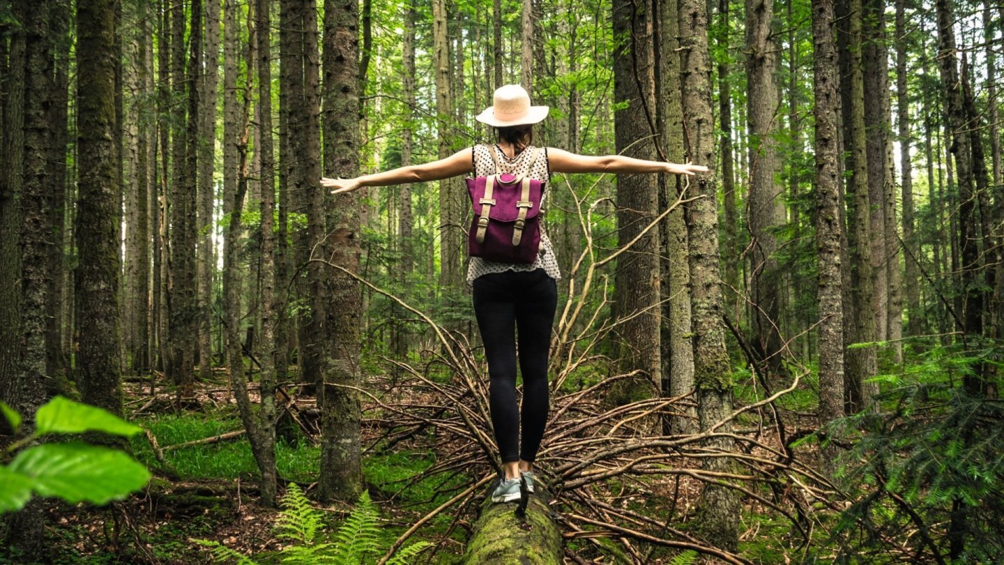 les bienfaits de la nature sur notre santé et bien-être plantes arbres et forêts nous font du bien par tous les sens